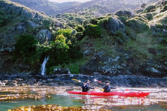 Guided Electric Mountain Bike & Sea Kayak Tour in Akaroa - Reaching the crater summit by e-bike