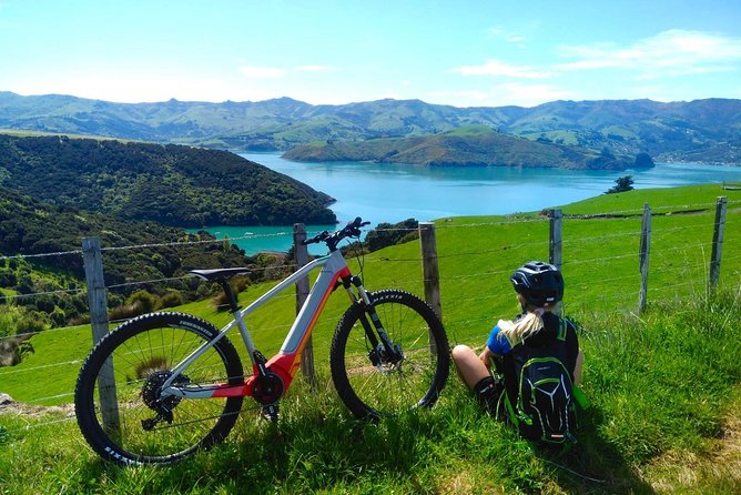 Guided Electric Mountain Bike & Sea Kayak Tour in Akaroa - The 11:30 a.m. change from wheels to paddles