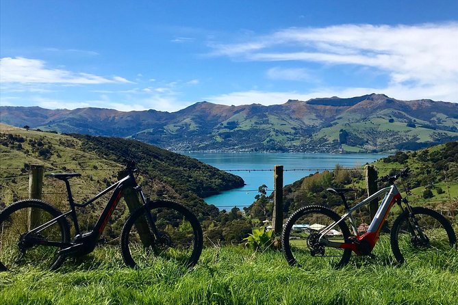Guided Electric Mountain Bike & Sea Kayak Tour in Akaroa - Looking for penguins and dolphins from the water