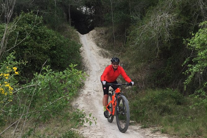 Guided mountain bike route - "Pata Negra" Tour - Why this ride is more than an e-bike rental