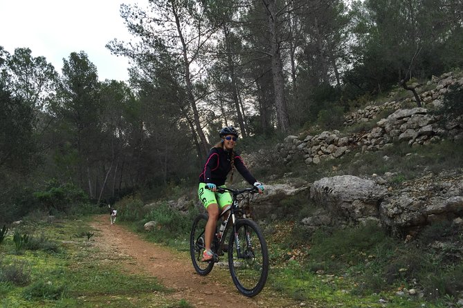 Guided mountain bike route - "Pata Negra" Tour - The riu-rau and millennial olive tree stops