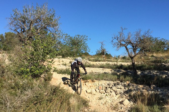 Guided mountain bike route - "Pata Negra" Tour - The café pause and refreshments