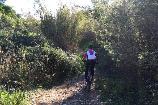 Guided mountain bike route - "Pata Negra" Tour - Photos, bikes, and the small extras