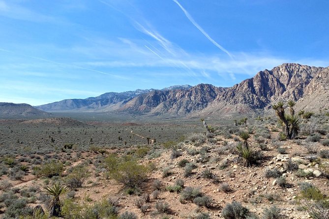 Guided Mountain Bike Tour of Mustang Trail in Red Rock Canyon - Who will enjoy the ride most
