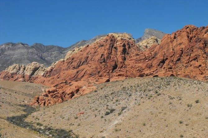 Guided Mountain Bike Tour of Mustang Trail in Red Rock Canyon - Group size, timing, and booking details