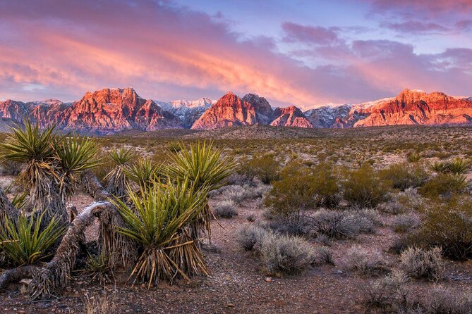 Guided or Self-Guided Road Bike Tour of Red Rock Canyon - Key points to know before you book