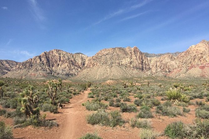 Guided or Self-Guided Road Bike Tour of Red Rock Canyon - Who should book this ride?