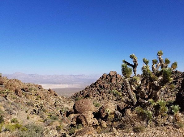 Guided or Self-Guided Road Bike Tour of Red Rock Canyon - Red Rock’s paved loop and brilliant rock walls