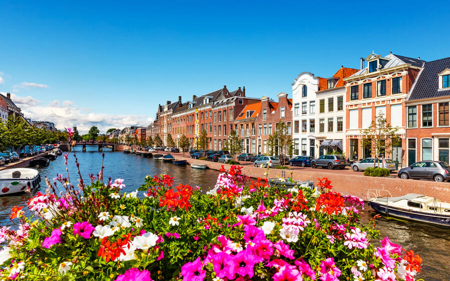 Haarlem Highlights Bike Tour - Who will enjoy this ride most