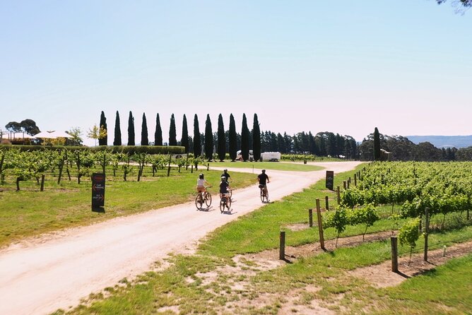 Hahndorf food and wine E-Bike Tour - Riding through Hahndorf to Udder Delights