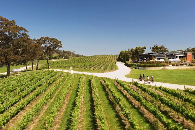 Hahndorf food and wine E-Bike Tour - Shaw and Smith for a five-wine flight