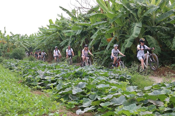 Half-Day Bicycle Tour Combine City & Countryside + Train Street - What the guides add to the ride
