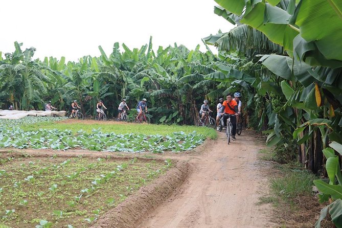 Half-Day Bicycle Tour Combine City & Countryside + Train Street - Long Bien Bridge and Hanoi’s old river crossing