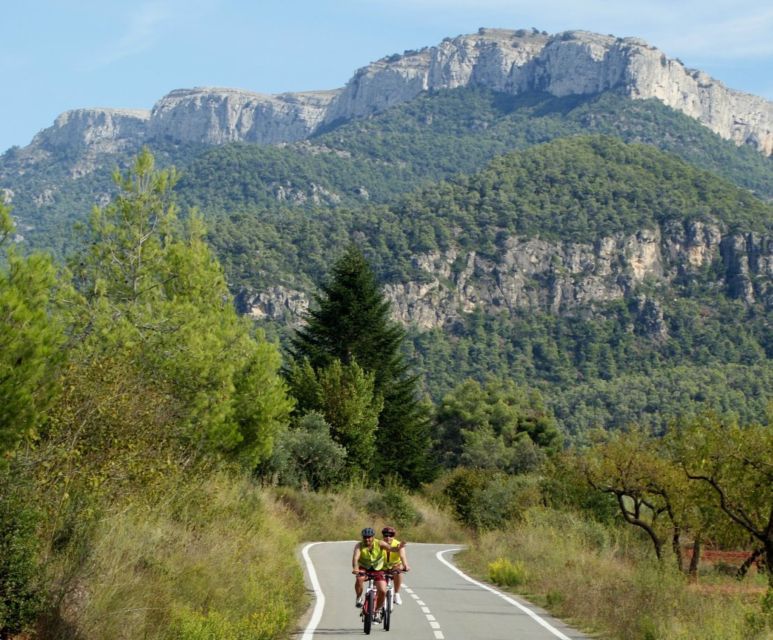 Half-Day Bike Tour from Salou - Getting fitted, practicing, and feeling safe