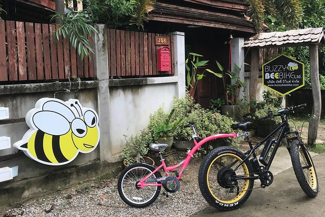 Half-day E-bike Countryside and rice paddies (flat land, GUIDED) - Wat Ton Kwen and the quieter road beyond