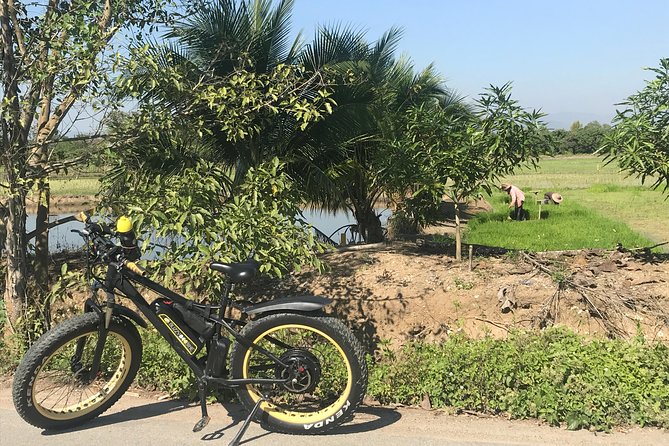 Half-day E-bike Countryside and rice paddies (flat land, GUIDED) - What you eat after the ride