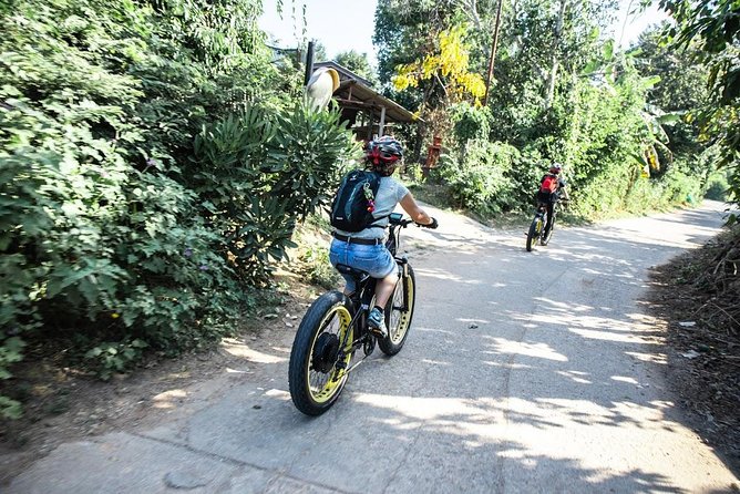 Half-day E-bike Countryside and rice paddies (flat land, GUIDED) - How the $50.52 price holds up