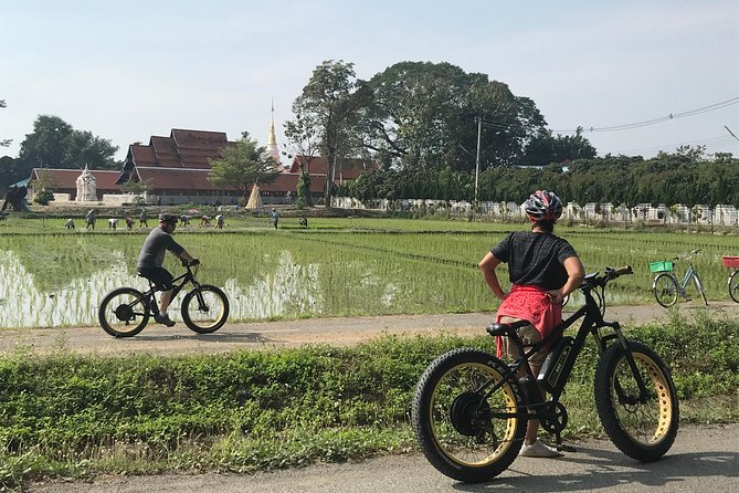 Half-day E-bike Countryside and rice paddies (flat land, GUIDED) - Who should book this ride