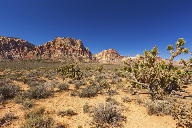 Half-Day Electric Bike Tour of Red Rock Canyon - Choosing guided or self-guided