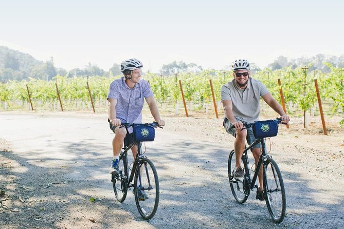 Half-Day Napa Winery E-Bike Tour - The winery visit: 75 minutes of wine and farm talk