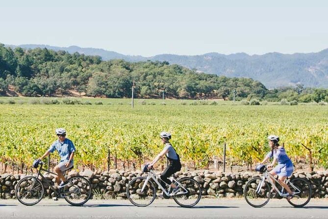 Half-Day Napa Winery E-Bike Tour - Wine tasting costs and the real price of the day