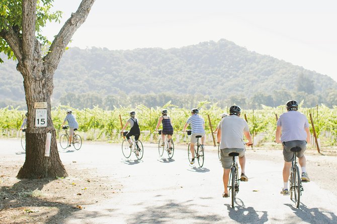 Half-Day Napa Winery E-Bike Tour - Timing, weather, and what to bring