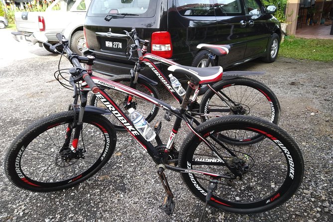 Half-Day Penang Countryside Cycling Tour - Sungai Rusa, plantations, and the quieter side of Penang