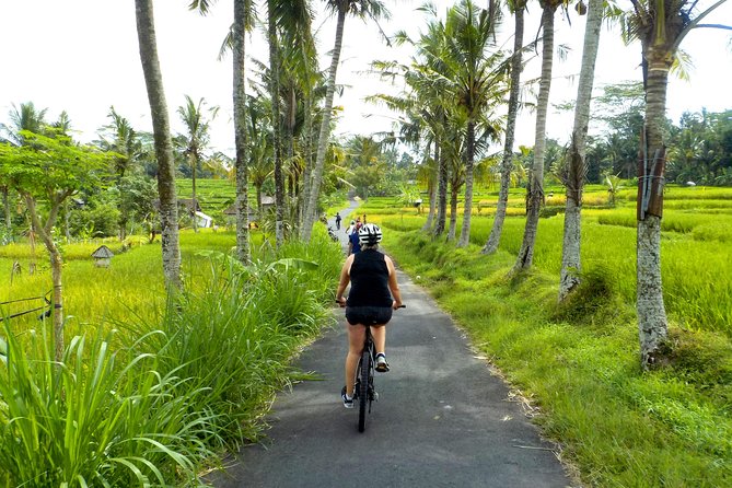 Half-Day Ubud Electric Cycling Tour to Tirta Empul Water Temple - Why an e-bike makes sense around Ubud