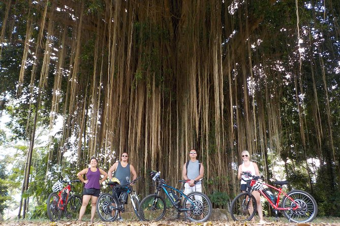 Half-Day Ubud Electric Cycling Tour to Tirta Empul Water Temple - Tirta Empul and the sacred spring pools