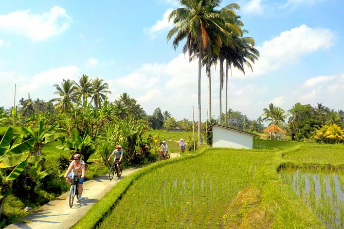 Half-Day Ubud Electric Cycling Tour to Tirta Empul Water Temple - What the $49 price includes