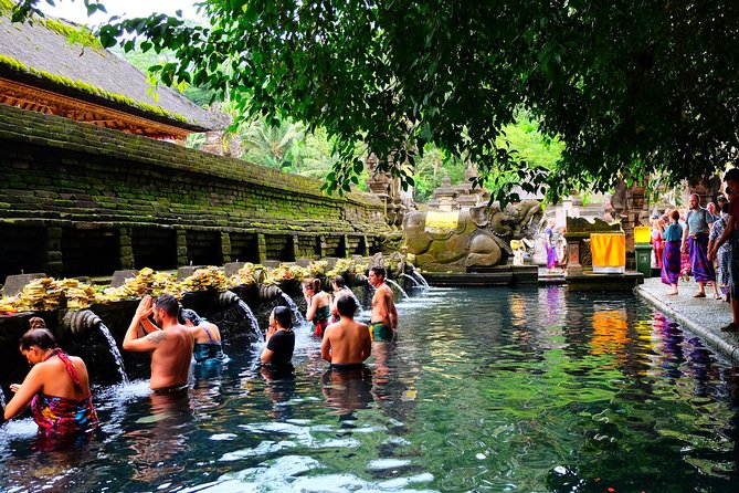 Half-Day Ubud Electric Cycling Tour to Tirta Empul Water Temple - Who will enjoy this morning most