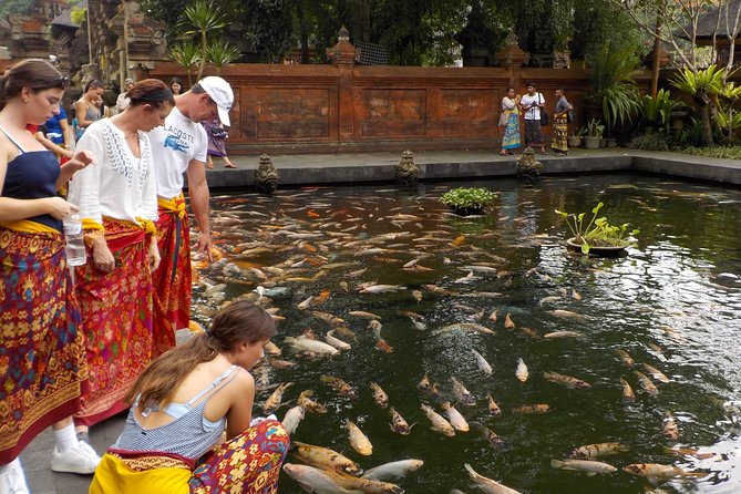 Half-Day Ubud Electric Cycling Tour to Tirta Empul Water Temple - Leaving Ubud through rice fields and villages