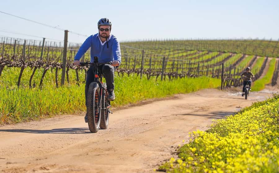 Half-Day Winelands E-Bike Tour with Wine Tasting - The wine estate finish