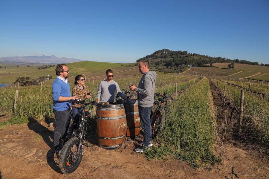 Half-Day Winelands E-Bike Tour with Wine Tasting - Should you book this Winelands e-bike tour?
