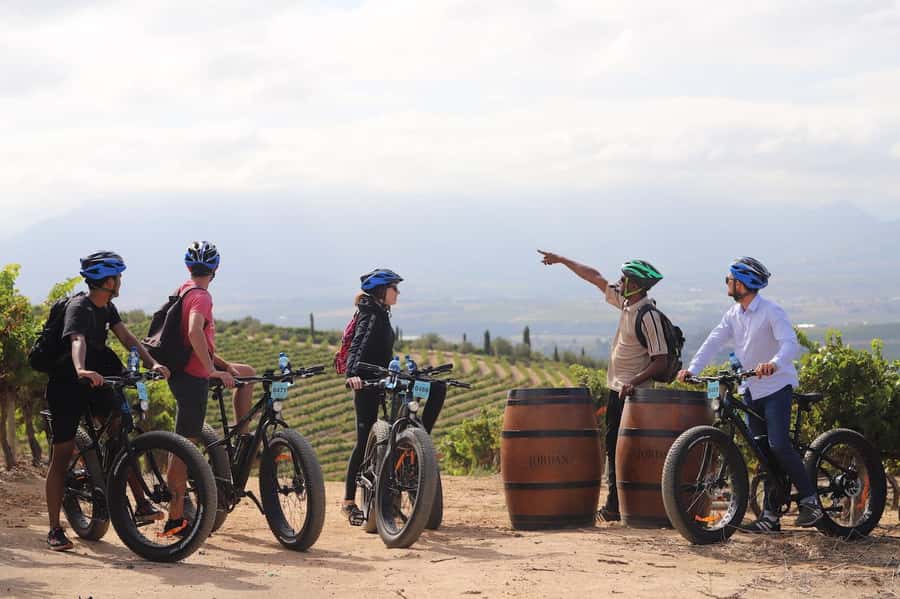 Half-Day Winelands E-Bike Tour with Wine Tasting - Riding among vineyards, hills, and small valleys