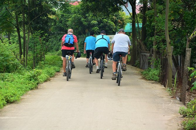 Hanoi Bicycle Tours: Half Day Bicycle Tours Hanoi Countryside - A family home, bonsai trees, and green tea