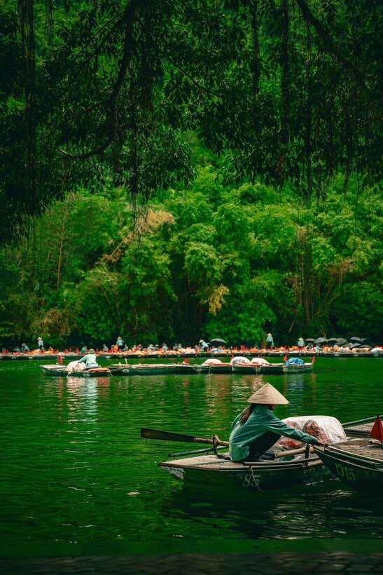Hanoi: Ninh Binh, Tam Coc, Mua Cave & Hoa Lu with cycling - Who should choose this Ninh Binh day trip