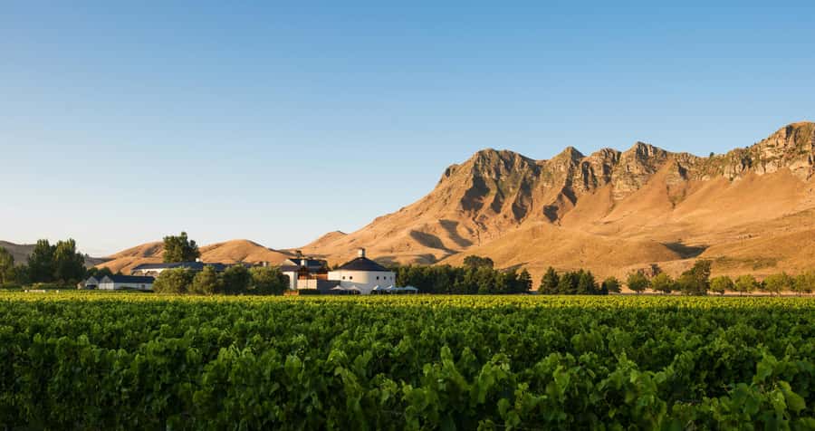 Hawke's Bay: Self Guided Coast to Vineyards Cycle Tour - The 4:00 PM return shuttle