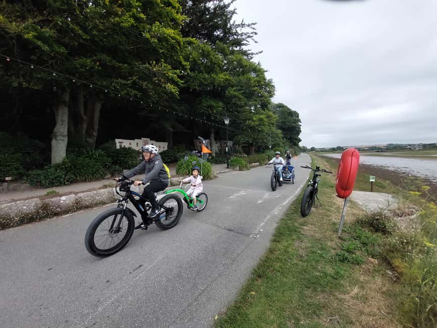 Hayle: 4-Hours Fat-Tyre E-Bike Hire - Coastal views and seal watching
