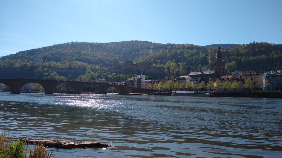 Heidelberg: Guided Bike Tour - Following the Neckar for the best breathing room