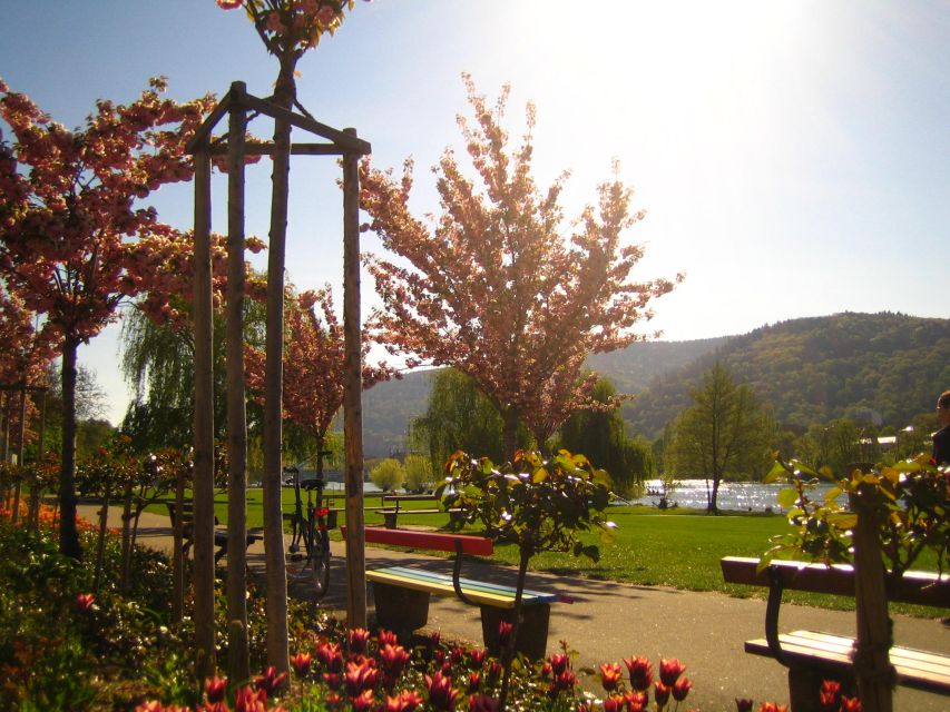 Heidelberg: Guided Bike Tour - Is $50 a fair price?