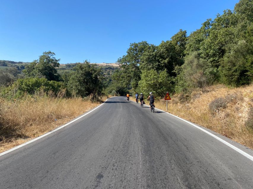 Heraklion: Wine Tasting E-Bike Tour - Should you book the Heraklion wine e-bike tour?