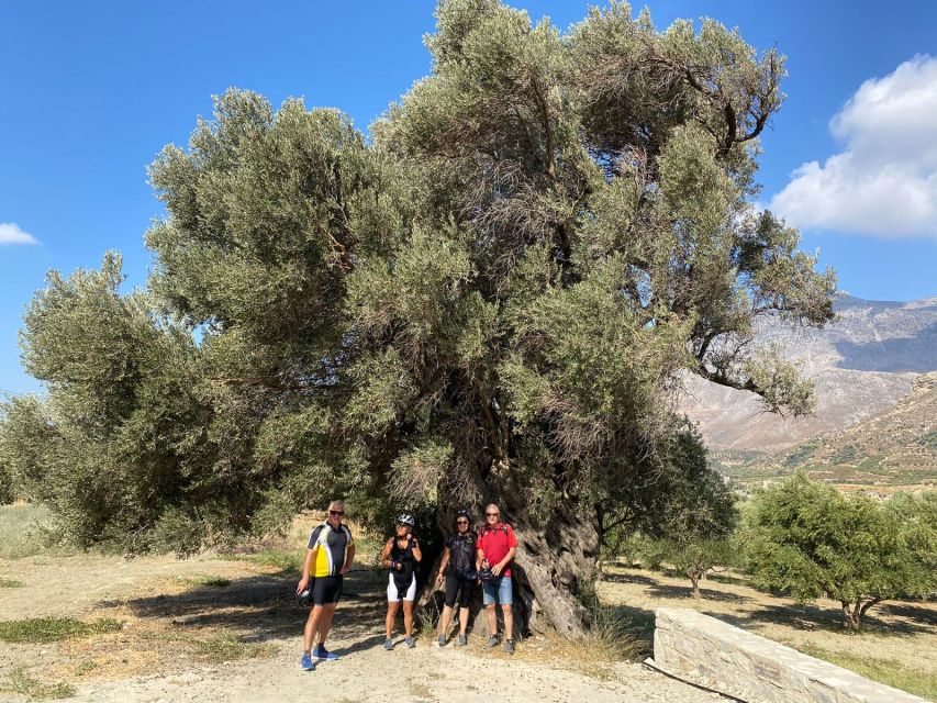 Heraklion: Wine Tasting E-Bike Tour - Why the return by car is a smart detail