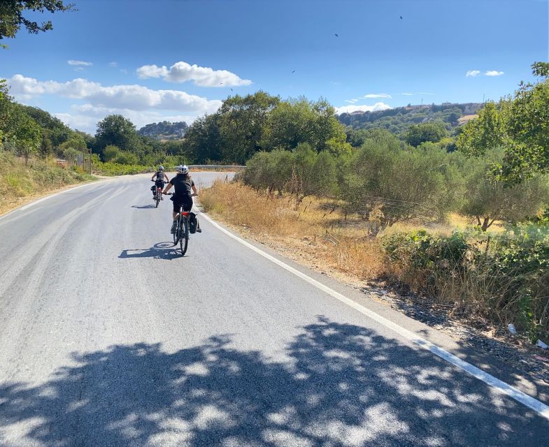 Heraklion: Wine Tasting E-Bike Tour - Practical advice for a smoother outing