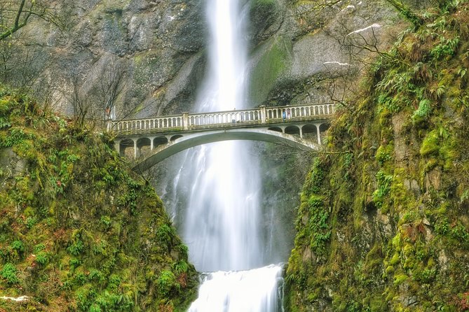 Hike and Bike Tour to Columbia River Gorge Waterfalls - Latourell Falls and a forest walk