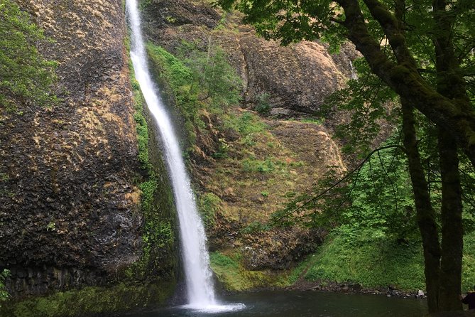 Hike and Bike Tour to Columbia River Gorge Waterfalls - What the guide adds to the day