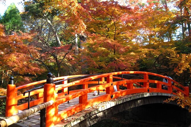 Historical Kyoto E-Bike Tour - Kinkaku-ji, Kyoto’s Golden Pavilion