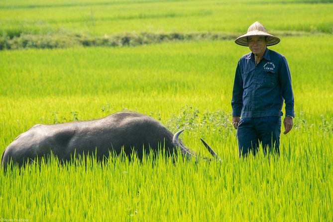 HOI AN Biking River Islands, Villages, Local Crafts PRIVATE TOUR - How hard is the cycling?
