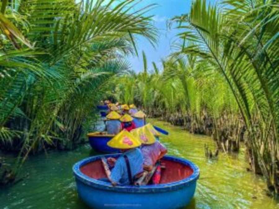 Hoi An: Countryside by Cycling, Buffalo Riding & Do Farming - The water buffalo ride