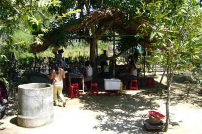 Hoi An Countryside: Guided Morning or Afternoon Bicycle Tour
